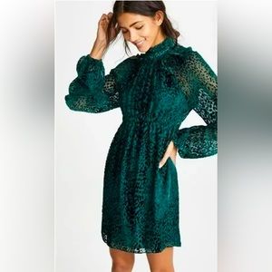A.L.C Nadia Animal Print Velvet Dress